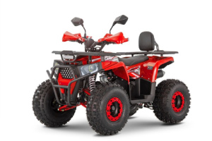 Квадроцикл ATV WELS Thunder AX 125 Pro